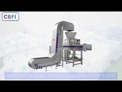 Automatic Ice Packing Machine